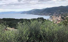 Acqua Marina