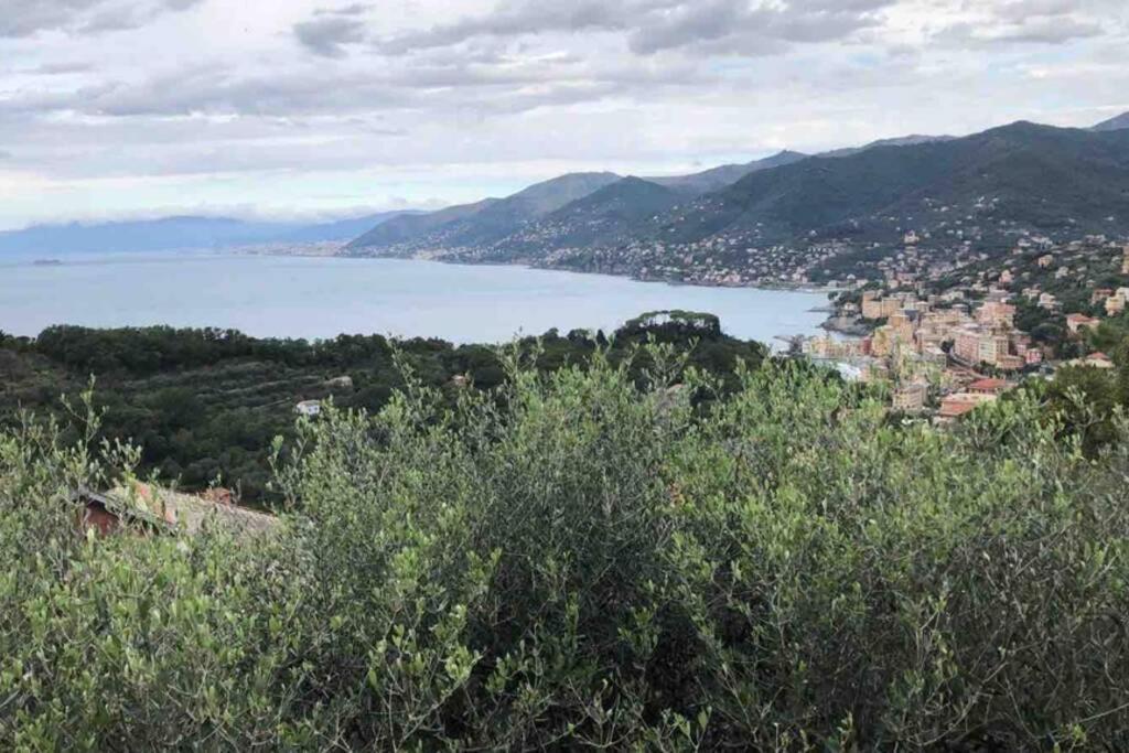 Appartement Acqua Marina à Camogli Extérieur photo